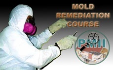 Mold Remediation Certification Course Online Training & Certification