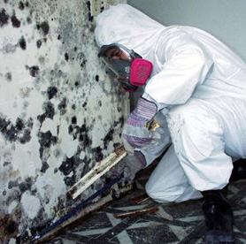 Mold Support Mold Support