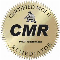 Mold Remediation CMR Mold Remediation CMR